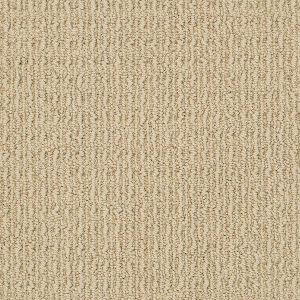 Anderson Tuftex TRULY DELIGHTFUL Buckskin 00215_ZZ094