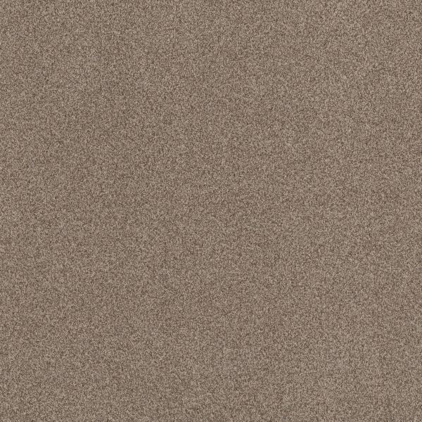 Shop Anderson Tuftex Terra Nova Roasted 00714_ZZ252 Carpet
