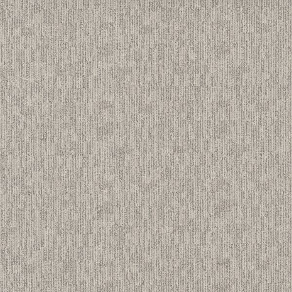 Shop Anderson Tuftex Sneak Peek Coconut Ice 00171_ZZ260 Carpet