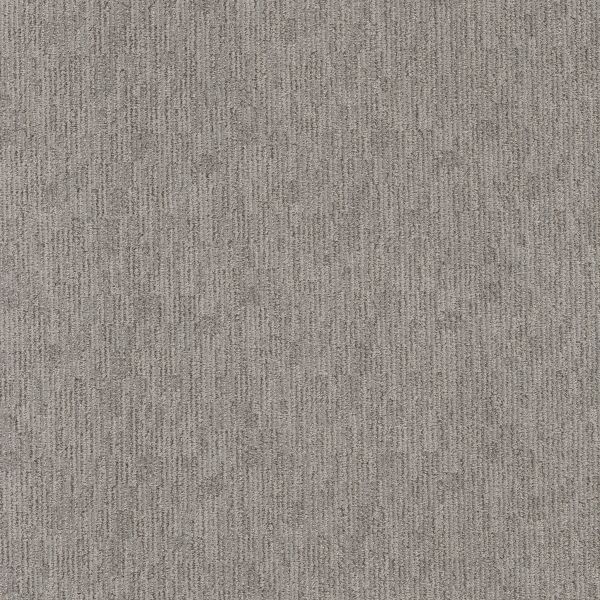 Shop Anderson Tuftex Sneak Peek Still Gray 00554_ZZ260 Carpet