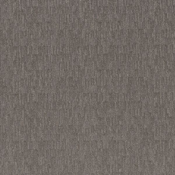Shop Anderson Tuftex Sneak Peek Magnetic 00556_ZZ260 Carpet