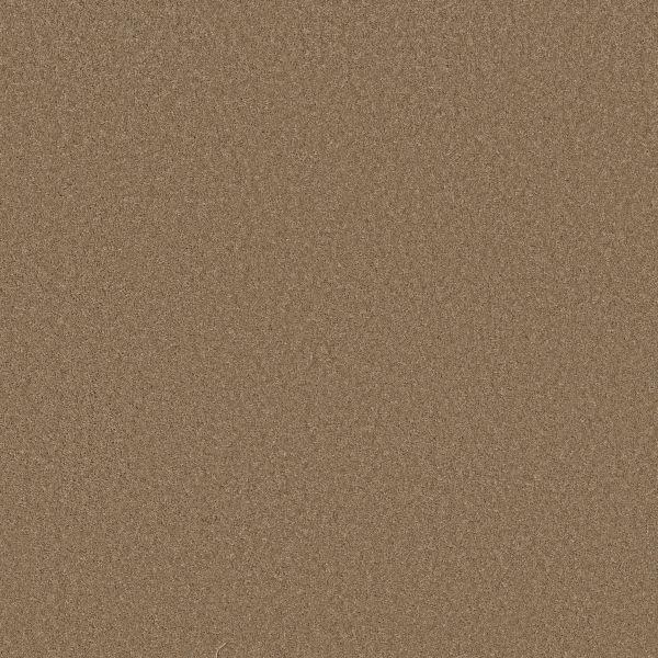 Shop Anderson Tuftex Enchanting Latte 00755_ZZ267 Carpet | Leader