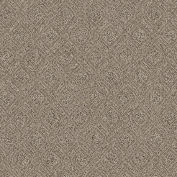 Anderson Tuftex EXPRESSIVE Toasty Gray 00573_ZZ273