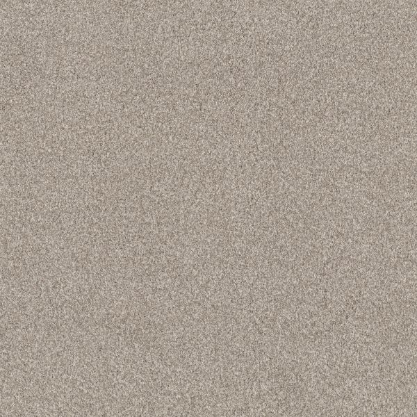Shop Anderson Tuftex Bossa Nova Misty Dawn 00151_ZZ275 Carpet