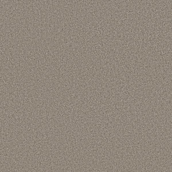 Shop Anderson Tuftex Avalon Bay Pashmina 00754_ZZ278 Carpet