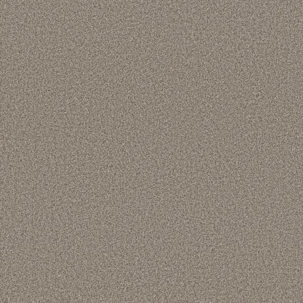 Shop Anderson Tuftex Somerset Pashmina 00754_ZZ279 Carpet