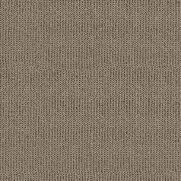 Anderson Tuftex ARDEN PARK Taupe Gray 00757_ZZ286