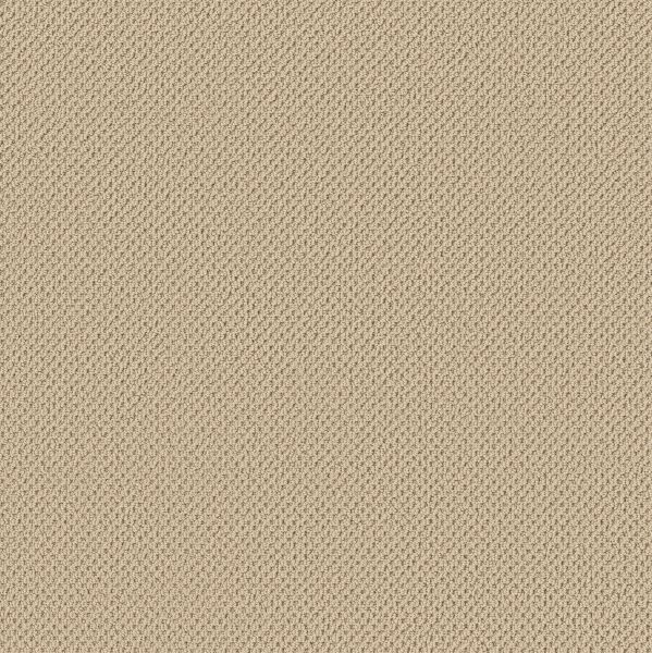 Shop Anderson Tuftex GRACIOUS Bamboo 00141_ZZ325 Carpet | Ronnie's