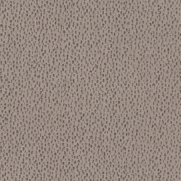 Shop Anderson Tuftex AMBITIOUS Mocha 00702_ZZ327 Carpet | Colonial