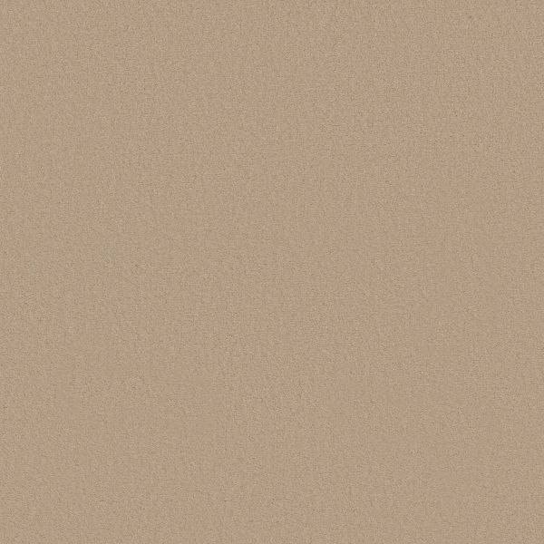 Shop Anderson Tuftex Finery Cashmere 00155_ZZ351 Carpet | Webb