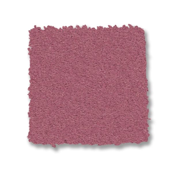 Shop Anderson Tuftex Finery Pink Rose 00802_ZZ351 Carpet | Legend