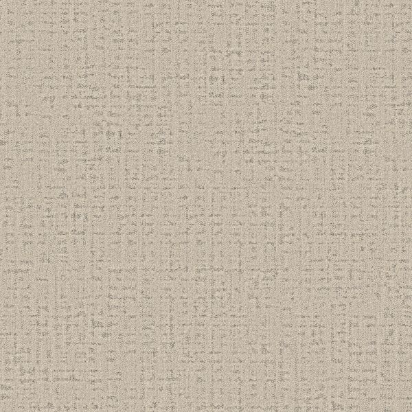 Shop Anderson Tuftex In Step Rock Crystal 00510_ZZ368 Carpet