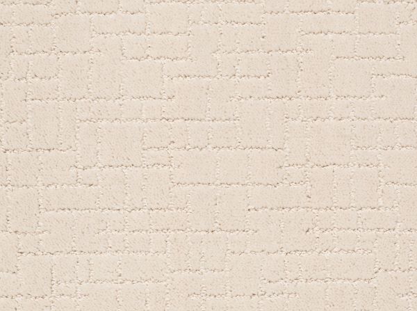 Anderson Tuftex FAUX PAW Barely Beige 00111_ZZ084