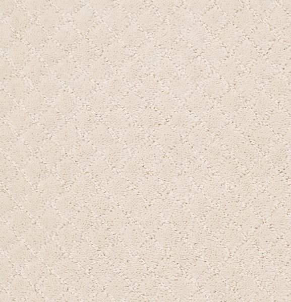 Anderson Tuftex PAWNACHE Barely Beige 00111_ZZ080