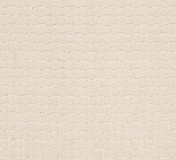 Anderson Tuftex PAWSTRUCK Barely Beige 00111_ZZ081