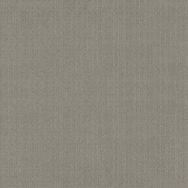 Shop Anderson Tuftex Purrsuasion Cement 00553_ZZ082 Carpet