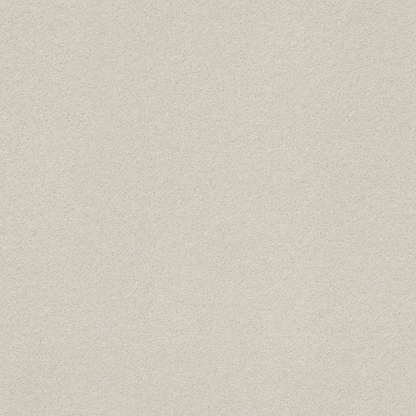 Shop Anderson Tuftex Perfect Choice Platinum 00552_ZZ064 Carpet