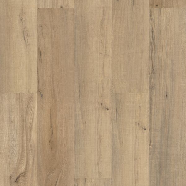 Shaw Floors Resilient Residential Paladin Plus Driftwood 01056_0278V