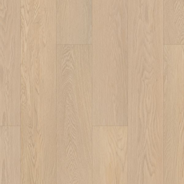 Shaw Floors Resilient Residential Paladin Plus Oceanfront 02012_0278V