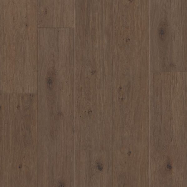 Shaw Floors Resilient Residential Fresh Take Tuxedo Bronze 00935_3415V