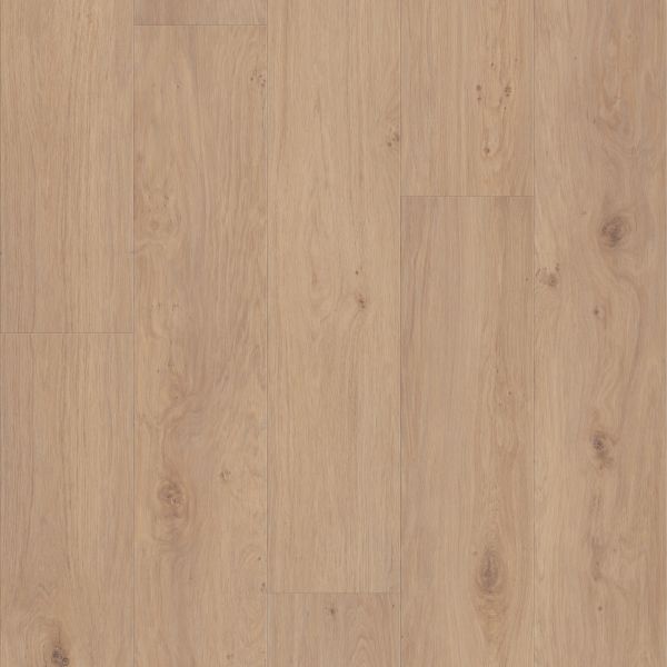 Shaw Floors Resilient Residential Fresh Take Occasional Beige 02091_3415V