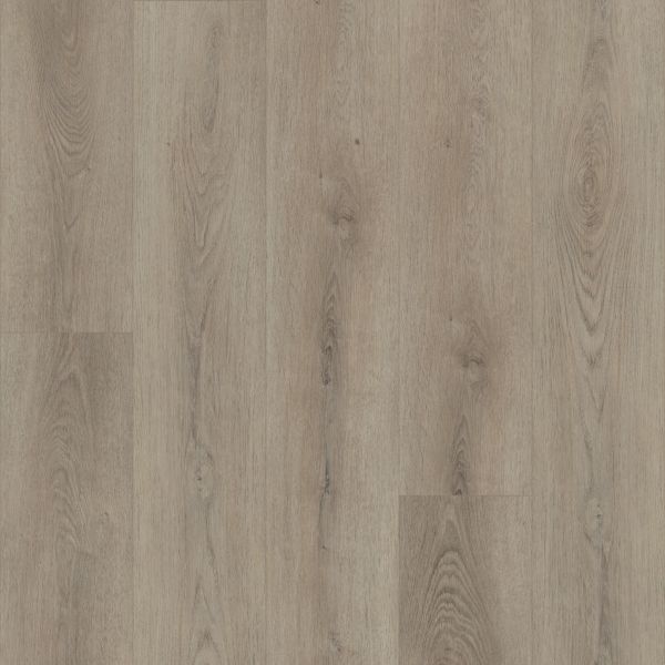 Shaw Floors Resilient Residential Paladin Plus Toasted Taupe 05218_0278V