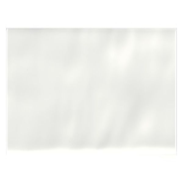 Daltile Stagecraft Arctic White