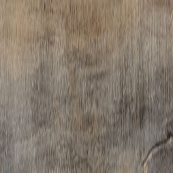 Daltile Adventuro Traveler