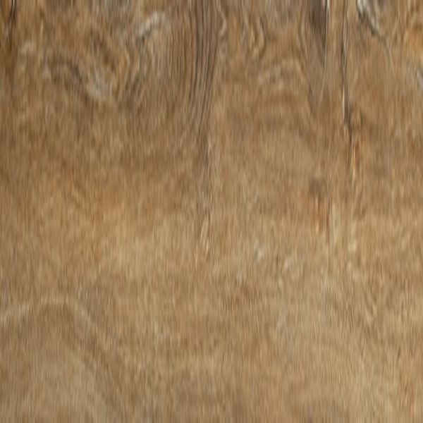 Daltile Adventuro Compass