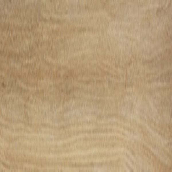 Daltile Adventuro Wander