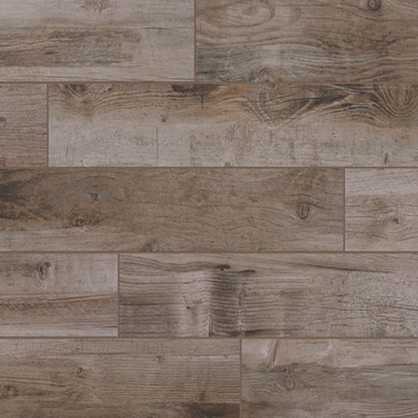 American Olean Bryson Valley Petrified Forest