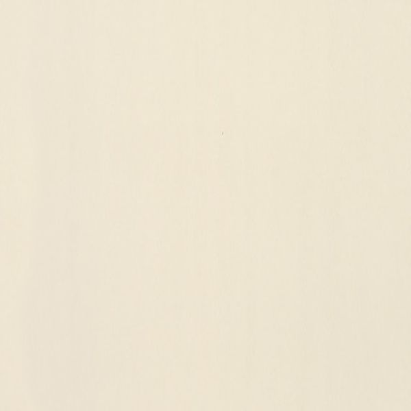 American Olean Clay Canvas Paint