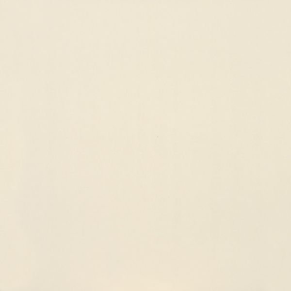 American Olean Clay Canvas Paint