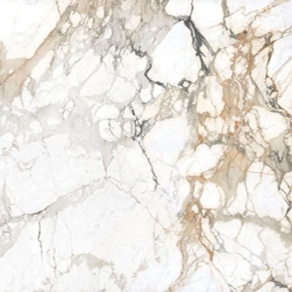 Daltile Elemental Selection Calacatta Topaz