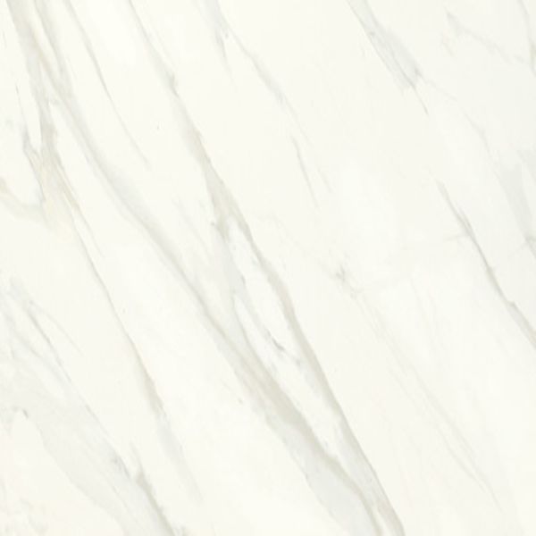 Daltile Florentine Carrara