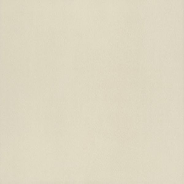 American Olean Neoconcrete White