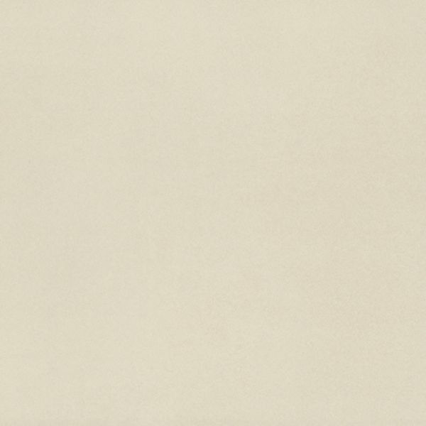 American Olean Neoconcrete White