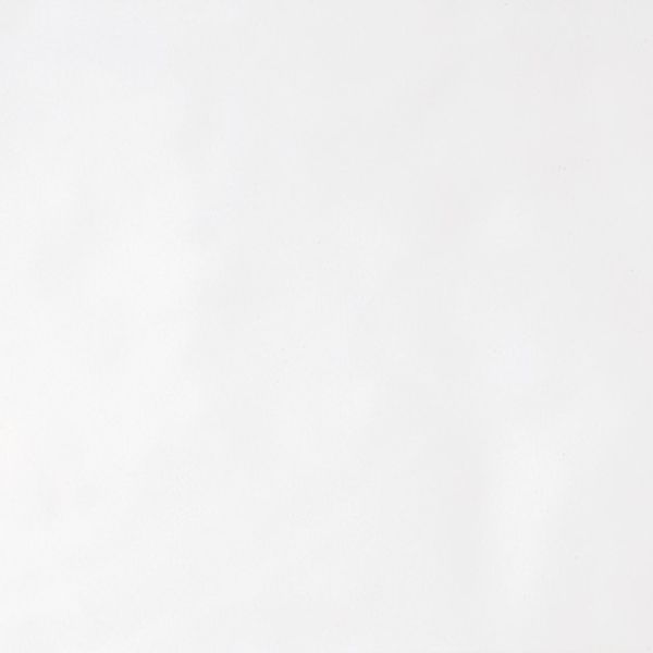 Daltile Polaris Gloss White