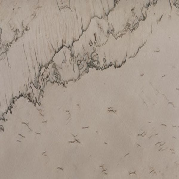 Daltile Natural Quartzite - Natural Stone Slab Chacra