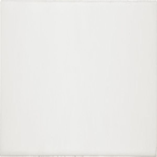 Daltile Stencil White