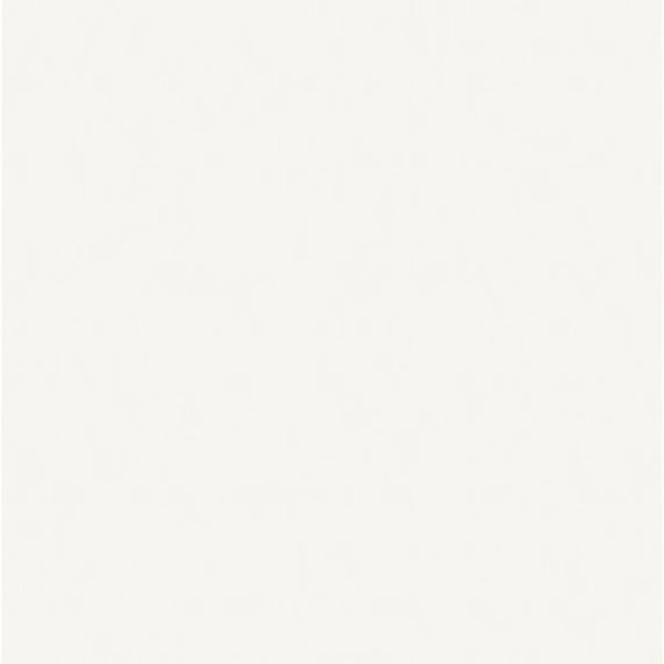 Daltile Vitruvian White Glossy