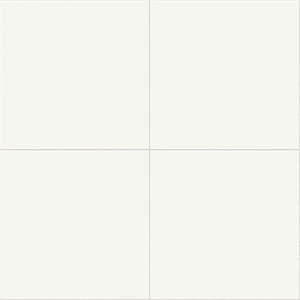 Daltile Vitruvian White Matte