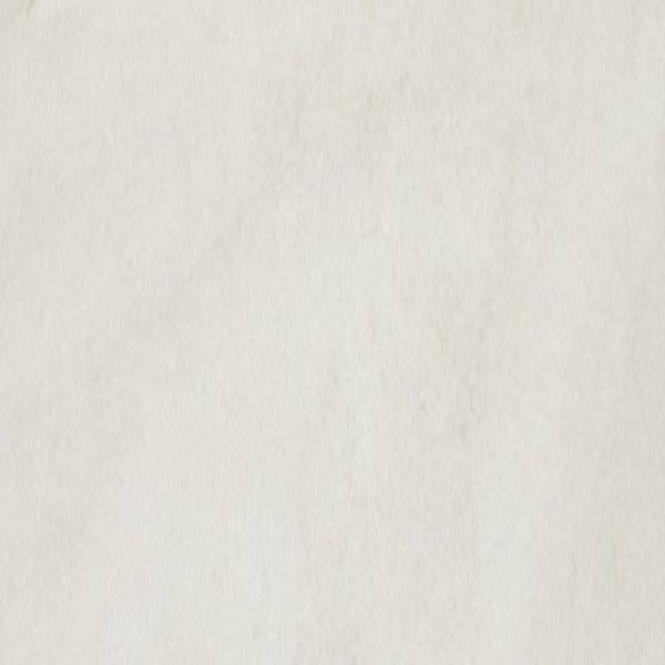 Daltile Wanderwise Swan