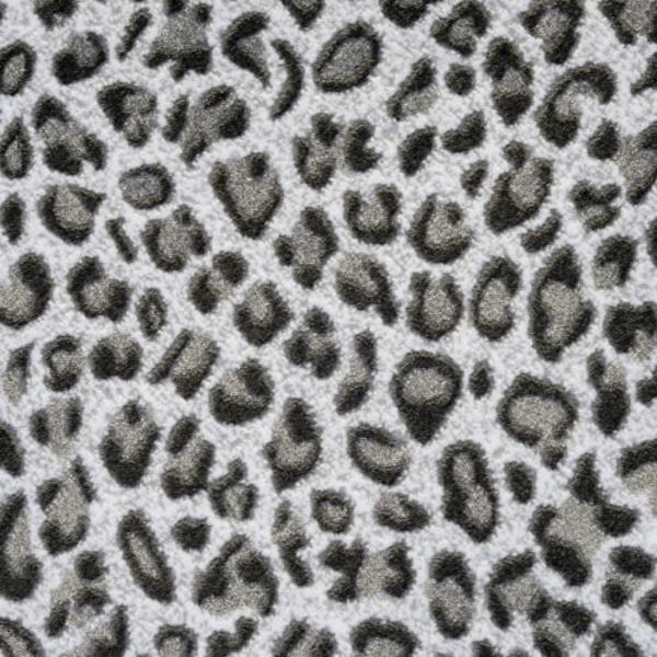 Kane Carpet Basilisk Natural History