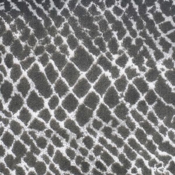 Kane Carpet Accomplishment Paramount