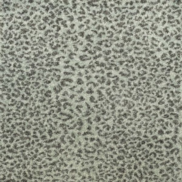 Kane Carpet Ceremony Etosha