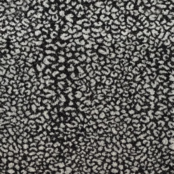 Kane Carpet Ceremony Safari