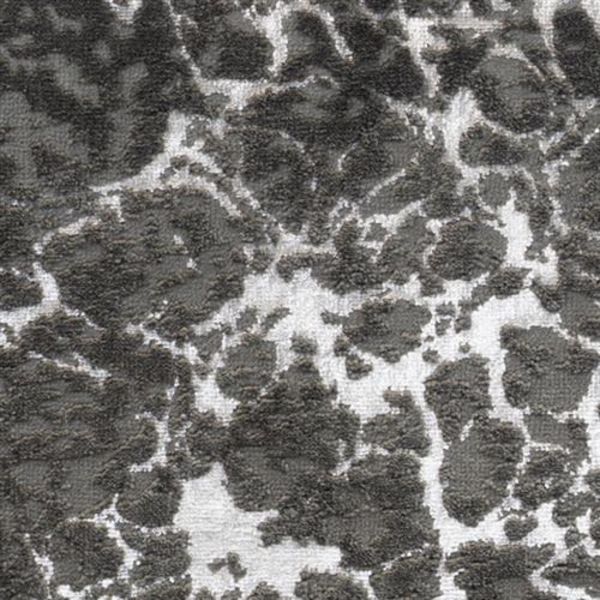 Kane Carpet Entranced Verona