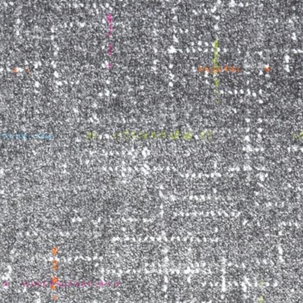 Kane Carpet Jubilee Celebration