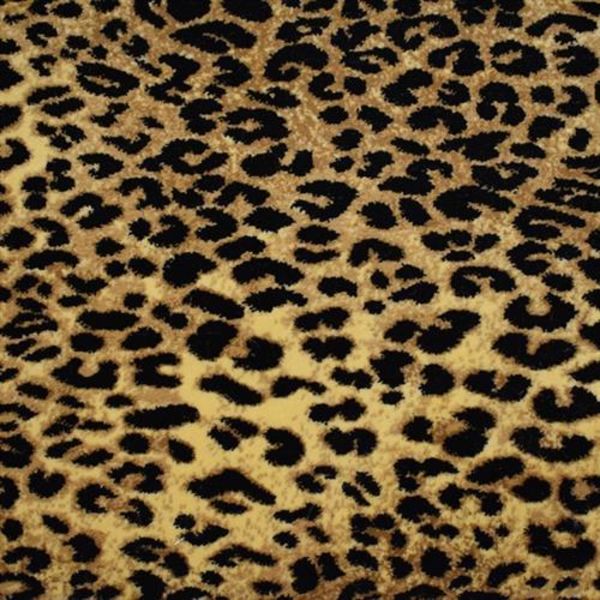 Kane Carpet Kaplani Agile Cheetah